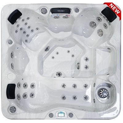 Avalon-X EC-849LX hot tubs for sale in Pittsburgh